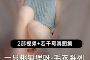 桃狐狸呀灰色毛衣系列：身材惊艳，让你心动！