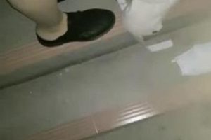 1.小妲己和小改改的直播作品合集2.小妲己与小改改的直播作品精选3.小妲己和小改改直播作品集锦4.小妲己、小改改直播作品双重福利5.小妲己和小改改直播作品专辑