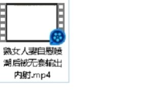 熟女妻子放飞自我的内释视频