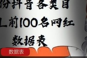 目KOL前100名网红数据表：探秘视频大小与数量背后的秘密