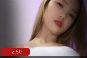 快手定制燕儿nier女神资源合集2.5G，居家舞蹈