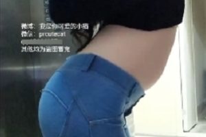 PR社浮力姬可爱小猫最新合集1V0.5G，甜美萌宠