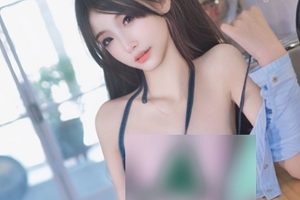 转载百度盘阳布布鸭活泼合集87P2V95M，日常生活互动