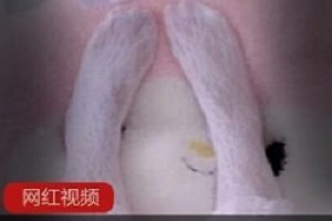 推特懒懒wink合集御姐风89部50G定制神作