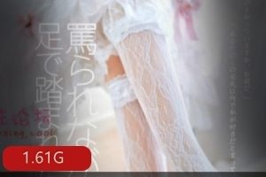 推特铃木美咲神秘美腿COS合集1.61G太诱人了