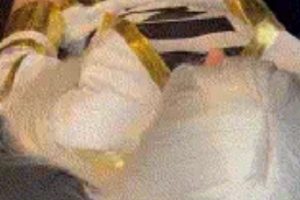 Fanslypetitesweettreatx肉腿夹鸡合集207V22.2G优质