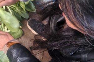 外站实在小李子给妈珍藏级作品15部601.5MB